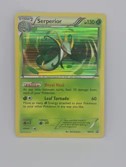 Pokemon Tcg- Serperior - Black and White Promos BW20 2011 - Image 1