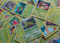 Pokemon TCG Bulk Lot - 100 Grass-Type Common/Uncommon Pokemon, no Energy - Image 1