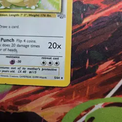 Kangaskhan 5/64 Holo Jungle Pokemon Card - Image 4