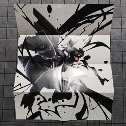 Pokemon Black Bolt And White Flare MINI Poster SET 10"x8" w/Card Checklist Guide - Image 4