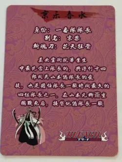 SHUNSUI KYORAKU SSR Bleach Holographic CCG TCG Anime Collectible Card - Image 2