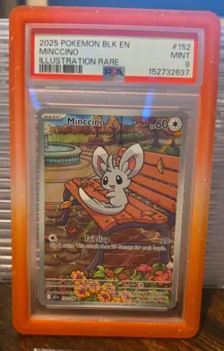 Minccino Black Bolt 152 Pokemon Psa 9 Mint - Image 1