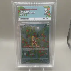 Shuckle 136/132 Mega Evolution- Illustration Rare Pokemon Card - ACE 9 MINT - Image 1
