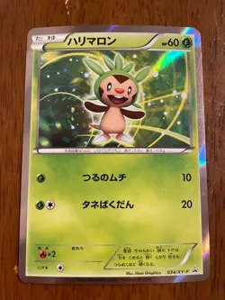 Japanese - Promo - Chespin - 034/XY-P - Holo - Pokemon Card - XY - NM - Image 1