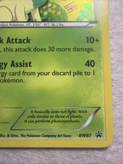 2013 Pokemon LEAFEON Card BW87 # 470 Promo Black Star - Image 4
