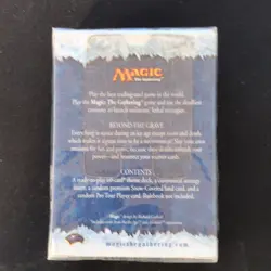 Magic: The Gathering Coldsnap Beyond the Grave Theme Deck 60 Cards Expert - Image 2