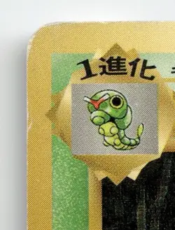 METAPOD NO. 011 COMMON BASE SET POKEMON JAPANESE MODERATELY PLAYED - Image 3