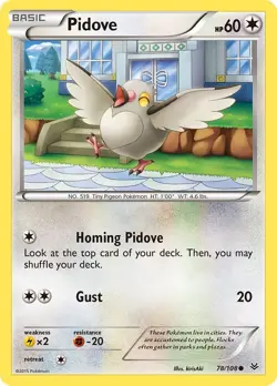 LP Pidove [XY - Roaring Skies 78/108] Reverse Holofoil Common Pokemon TCG - Image 1