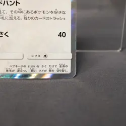 [LP] Zangoose 226/SM-P Promo Pokemon Card TCG Japanese - Image 5