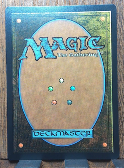 MTG The Lord of Pain ( FOIL Borderless ) Commander Duskmourn: House of Horror NM - Image 3