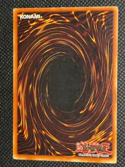 Amazoness Paladin MFC-059 Common Magician's Force Yu-Gi-Oh 1st Edition LP - Image 2