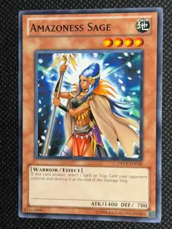 Amazoness Sage DREV-EN030 Common Duelist Revolution Yu-Gi-Oh Unlimited LP - Image 1