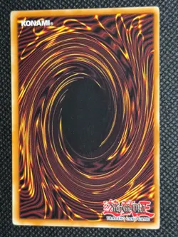Amazoness Sage DREV-EN030 Common Duelist Revolution Yu-Gi-Oh Unlimited LP - Image 2