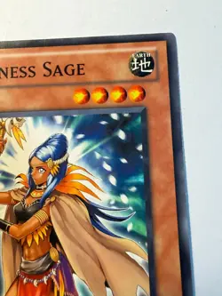 Amazoness Sage DREV-EN030 Common Duelist Revolution Yu-Gi-Oh Unlimited LP - Image 4