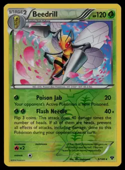 Beedrill 5/146 Rare XY Pokemon Reverse Holo Lightly Played - Image 1