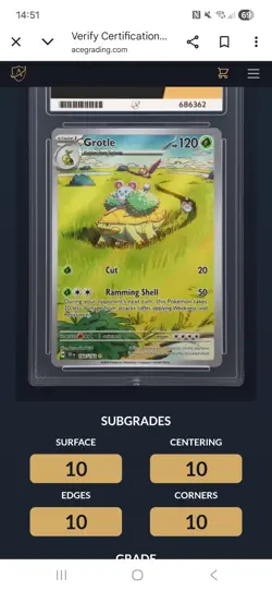 ACE 10 Grotle 164/162 Illustration Rare 2024 Temporal Forces Pokemon TCG. - Image 2