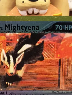 Team Magma's Mightyena 21/95 Team Magma vs Team Aqua Reverse Holo Pokemon - Image 3