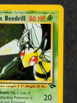 Kogas Beedrill 9/132 Holo Rare WOTC Gym Challenge Pokemon Card Near Mint - Image 4