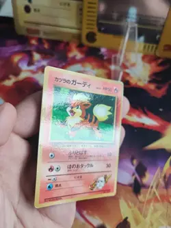 Pokemon Karte Card Blaines Growlithe Gym Corocoro Promo Glossy Wotc japanese Exc - Image 4