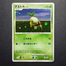 Turtwig 072/DP-P Beginner's Classroom Promo 2007 Holo Japanese Pokemon Card - Image 1