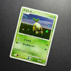 Turtwig 072/DP-P Beginner's Classroom Promo 2007 Holo Japanese Pokemon Card - Image 3
