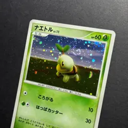 Turtwig 072/DP-P Beginner's Classroom Promo 2007 Holo Japanese Pokemon Card - Image 4