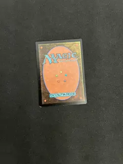 Forest (Showcase) [dominaria united] #281 NM MTG Magic Cards - Image 2