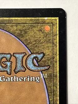 MTG Verdant Catacombs - Zendikar - Magic The Gathering - Non English - Image 4