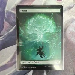 Full Art Land x 5 - Full Set - Non Foil - Secrets of Strixhaven - MTG - Image 3