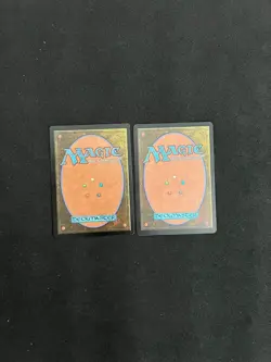 Plains x2 [Dominaria United] #277 NM/LP Non Foil Full Art Land MTG Magic Cards - Image 2