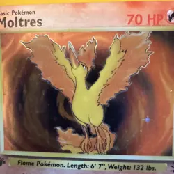 1st Edition Moltres Fossil 12/62 English Holo rare Pokemon TCG - Image 4