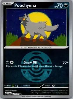 Poochyena (Dusk Ball) 128/217 Common Ascended Heroes Pokemon Reverse Holo NM - Image 1