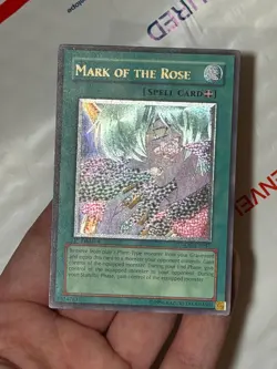 Mark of the Rose (UTR) CSOC-EN047 GREY Ultimate Rare 1st Edition YU-GI-OH - Image 4