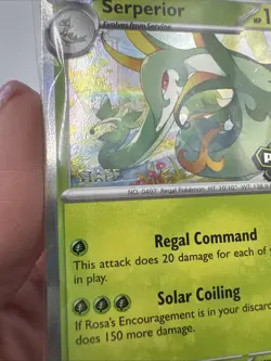 Sealed STAFF Mega Evolution Perfect Order Promo Prerelease Pack 4 Pokemon - Image 3