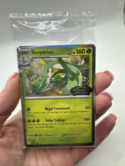 Sealed STAFF Mega Evolution Perfect Order Promo Prerelease Pack 4 Pokemon - Image 4