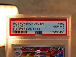 PSA 10 Wailord 162/159 Sv09 Journey Together 2025 (English Pokemon Card) - Image 3