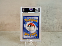 PSA 10 Wailord 162/159 Sv09 Journey Together 2025 (English Pokemon Card) - Image 5