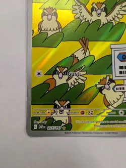 Pokemon TCG Pidgey Obsidian Flames IR Illustration Rare Card 207/197 Mint - Image 4