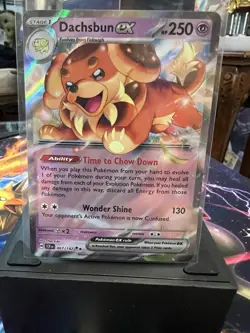 DACHSBUN EX 067/142 Scarlet & Violet STELLAR CROWN Holo Card MINT - Image 1