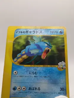 Clair's Gyarados 048/141 Pokemon vs Regular (Japanese) DMG - Image 3