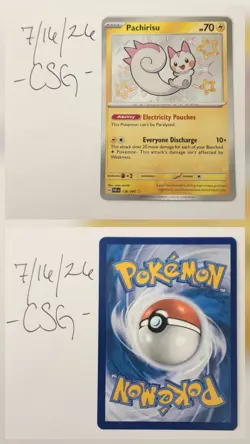 Pachirisu 138/091 - SV: Paldean Fates - Shiny Rare - English Pokemon TCG - Image 3