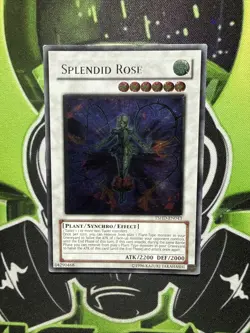 Splendid Rose TSHD-EN043 Ultimate Rare Unlimited Yugioh LP - Image 1