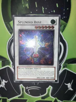 Splendid Rose TSHD-EN043 Ultimate Rare Unlimited Yugioh LP - Image 2