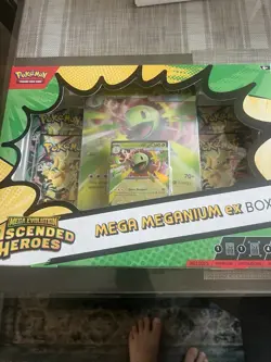 Pokemon TCG Mega Evolution—Ascended Heroes ex Box Meganium/Feraligatr Promo 2026 - Image 5