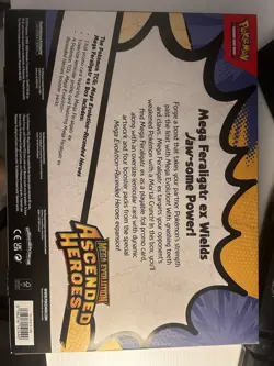 Pokemon TCG: Mega Evolution-Ascended Heroes Mega Feraligatr ex Box - Image 2