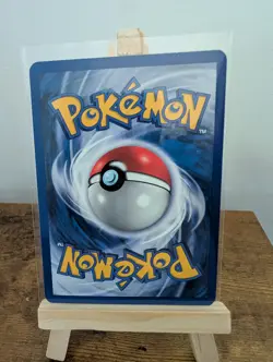 Pokemon Base Set Starter Trio + Pikachu Bundle NM/Mint - 1999 WOTC Vintage - Image 5