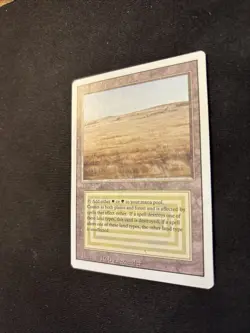 Savannah Revised Edition Mtg NM - Image 2