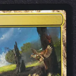 UNCHARTED HAVEN #261 Land Bloomburrow MTG Magic the Gathering Eng Near mintNM - Image 3