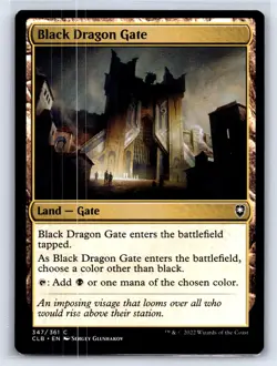 Black Dragon Gate C The List Reprints 347/361 LP - Image 1