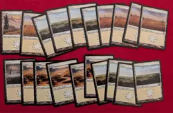 60 card pauper deck Mono White Clerical Banding MTG - Image 4